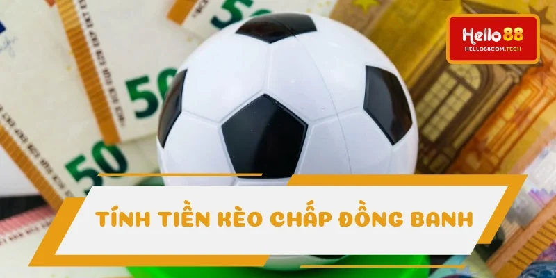 Tính toán lời/ lỗ HDP (0) rất đơn giản Tính toán lời/ lỗ HDP (0) rất đơn giản